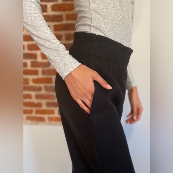 Aritzia Babaton Powell Pants Black - Picture 7 of 9